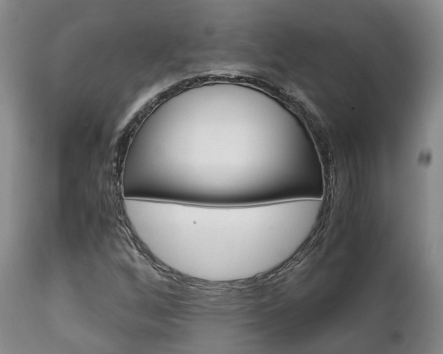 X0000111231256200907021015