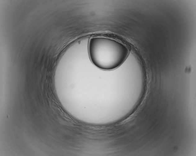 X0000111231257200907021015