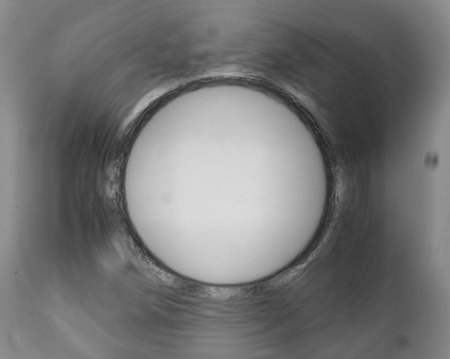 X0000111231258200907021015