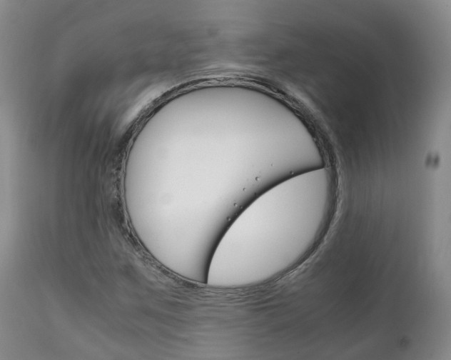 X0000111231259200907021015