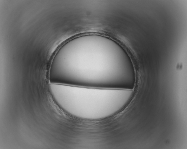 X0000111231260200907021015