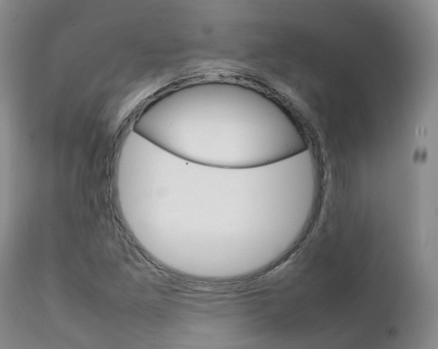 X0000111231261200907021015