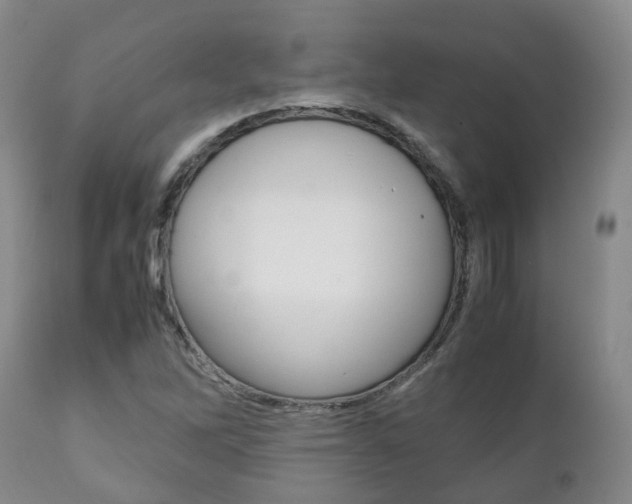 X0000111231262200907021015