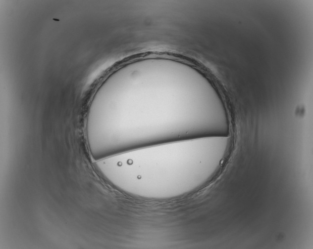X0000111231263200907021015