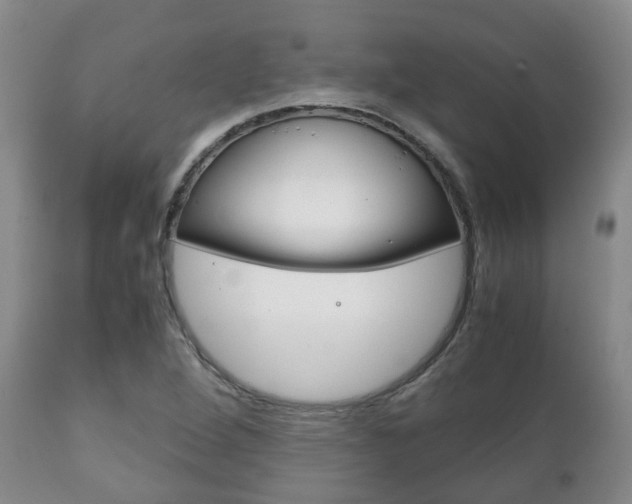 X0000111231264200907021015