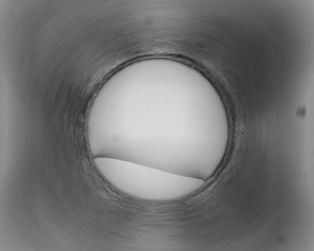 X0000111231265200907021015