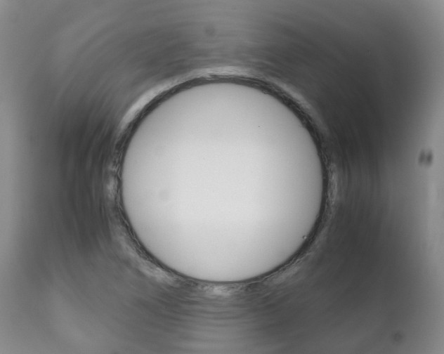 X0000111231266200907021015