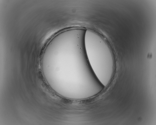 X0000111231267200907021015