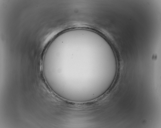 X0000111231269200907021015