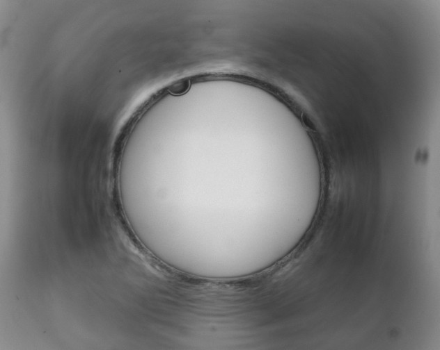 X0000111231270200907021015