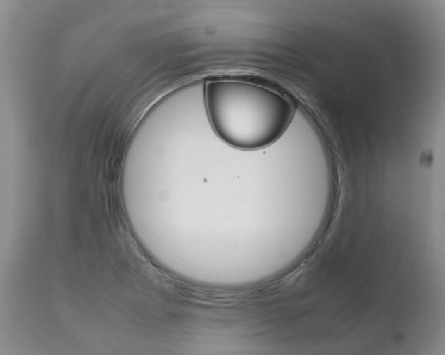 X0000111231273200907021015