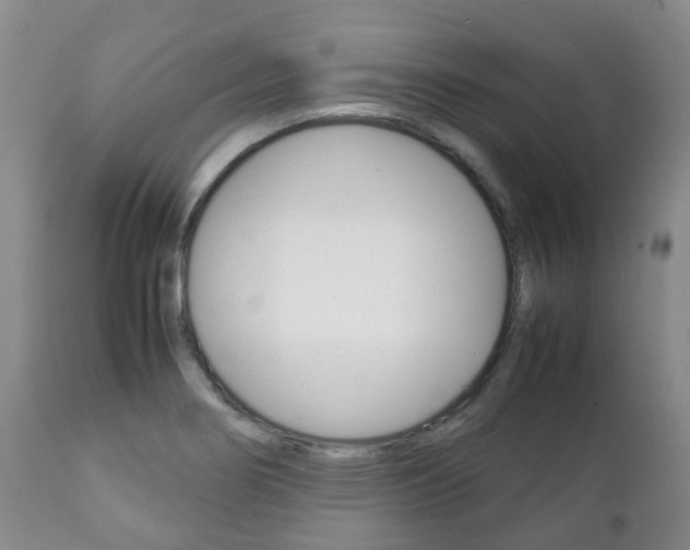 X0000111231274200907021015