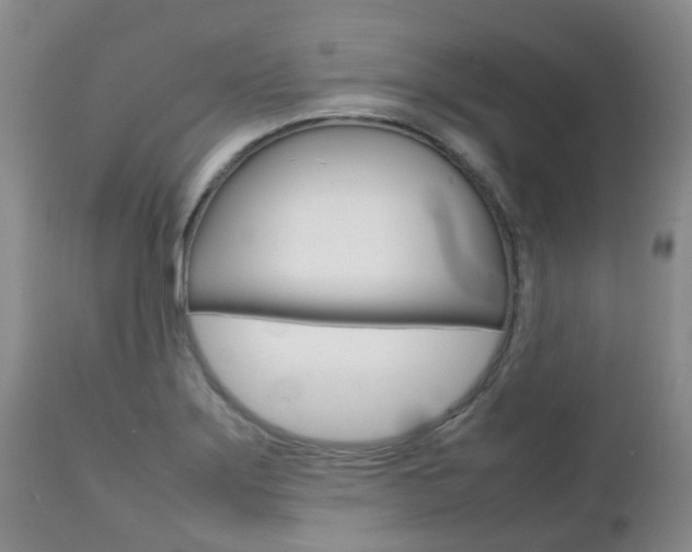 X0000111231275200907021015