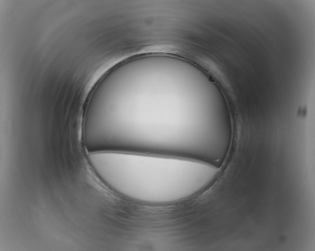 X0000111231276200907021015