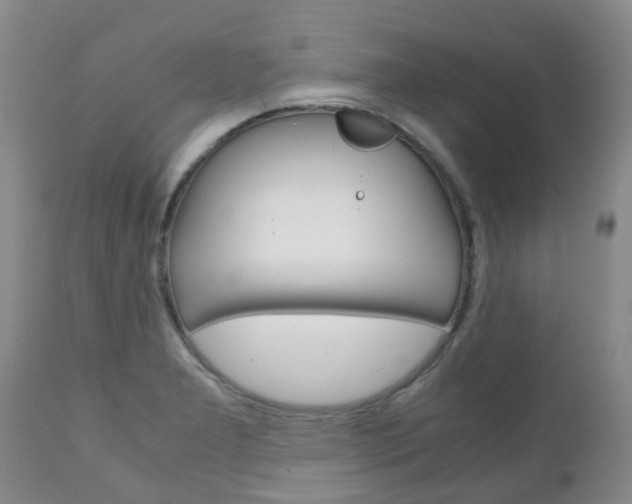 X0000111231277200907021015