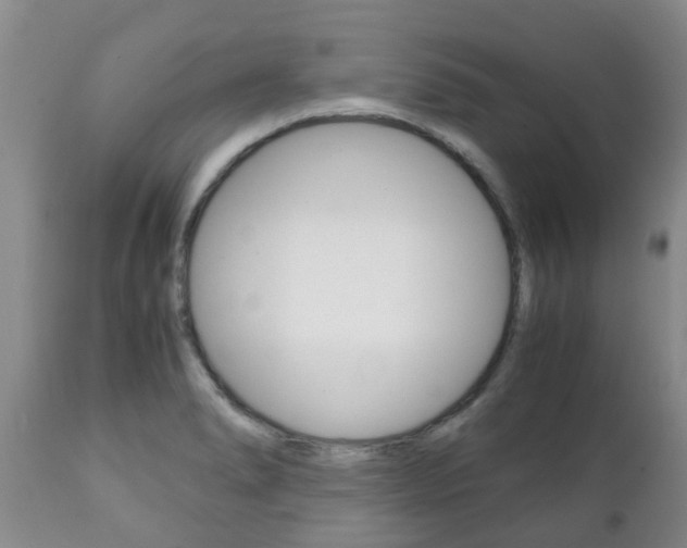 X0000111231278200907021015