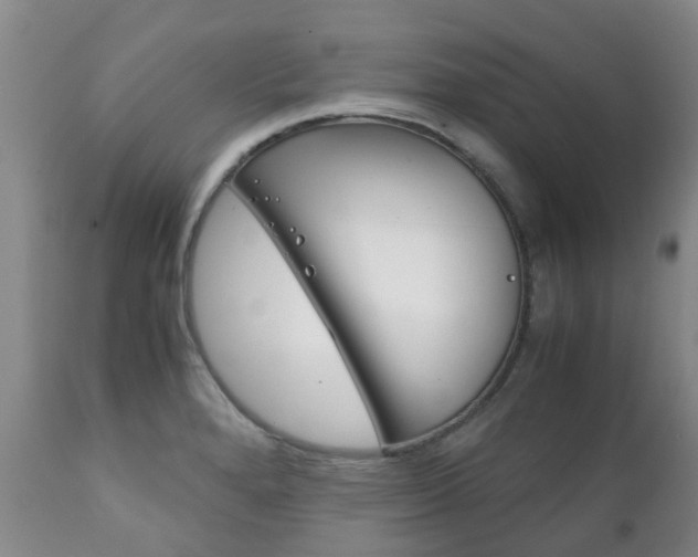 X0000111231280200907021015
