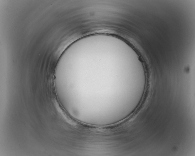 X0000111231281200907021015