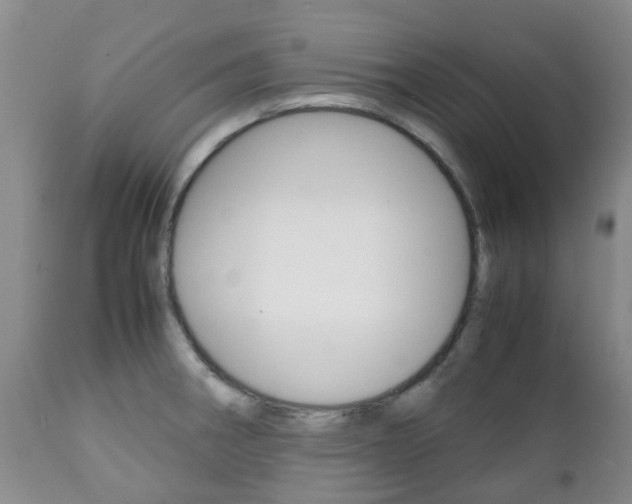 X0000111231282200907021015