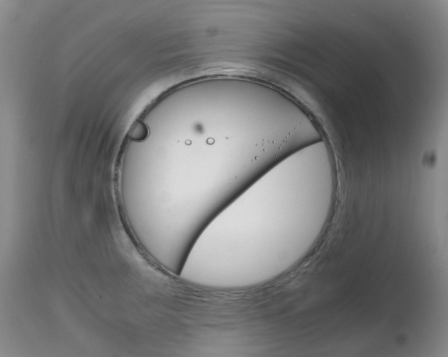 X0000111231283200907021015