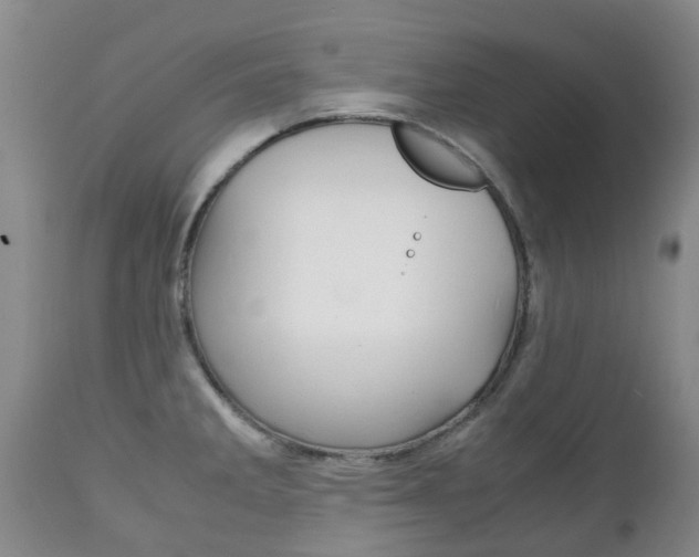 X0000111231285200907021014