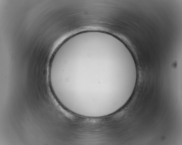 X0000111231286200907021014