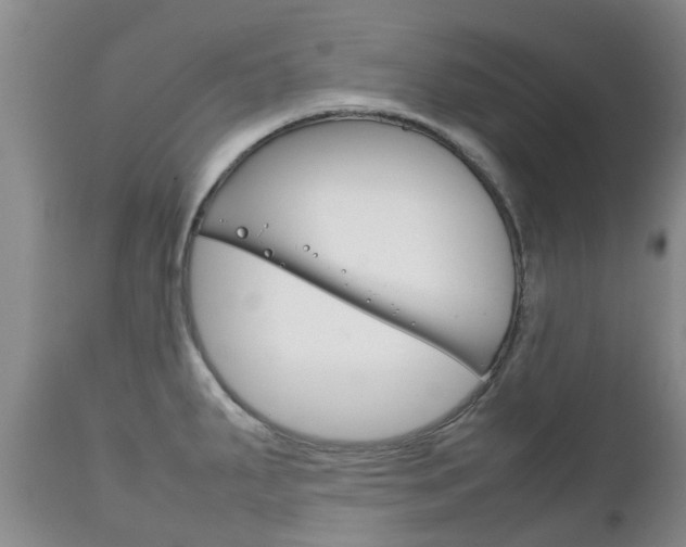 X0000111231287200907021014