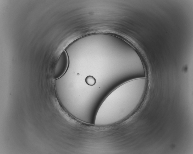 X0000111231289200907021014