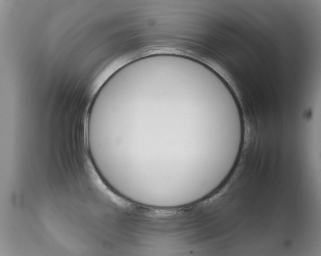 X0000111231290200907021014