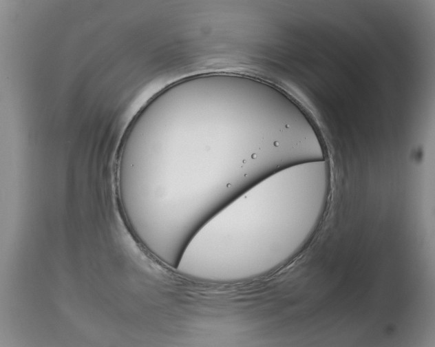 X0000111231291200907021014
