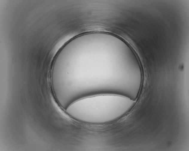 X0000111231293200907021014