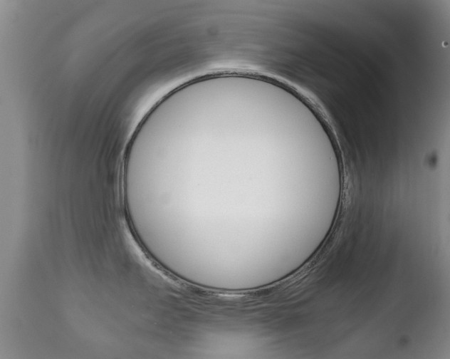 X0000111231295200907021014