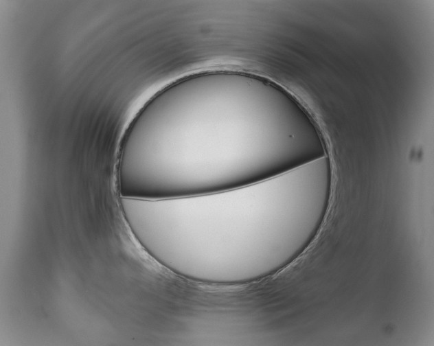 X0000111231296200907021014
