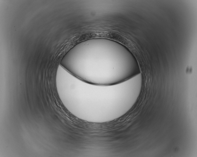 X0000111231298200907021014