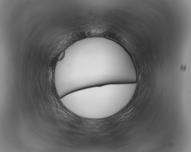 X0000111231299200907021014