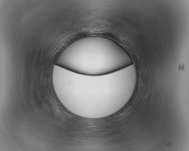 X0000111231300200907021014