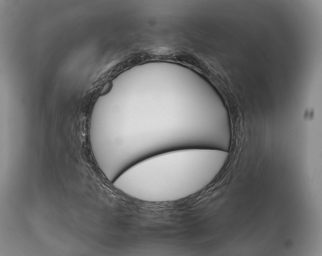 X0000111231301200907021014
