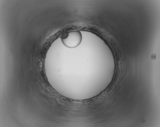 X0000111231302200907021014