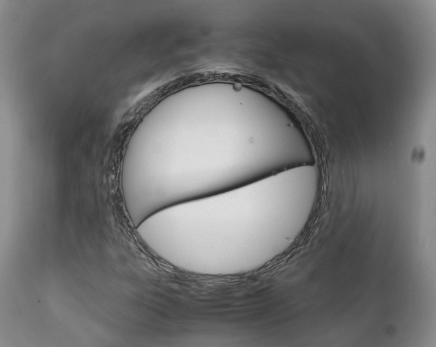 X0000111231303200907021014
