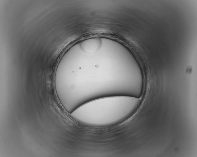 X0000111231305200907021014