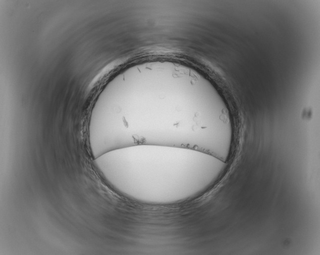 X0000111231306200907021014