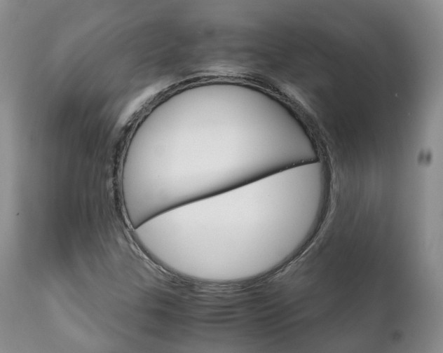 X0000111231307200907021014