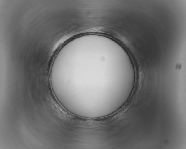 X0000111231308200907021014
