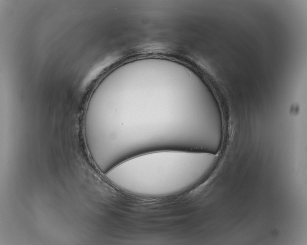 X0000111231309200907021014