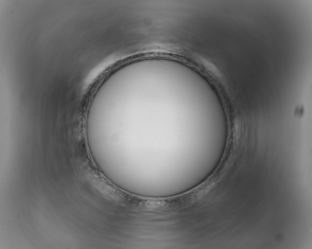 X0000111231310200907021014