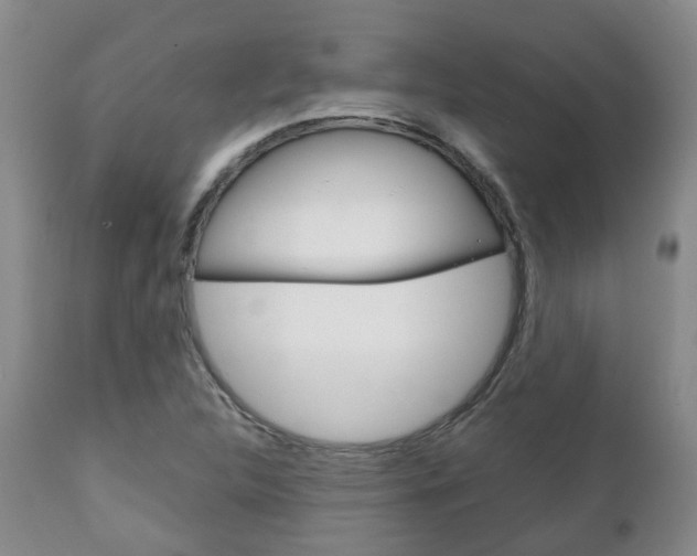 X0000111231312200907021014