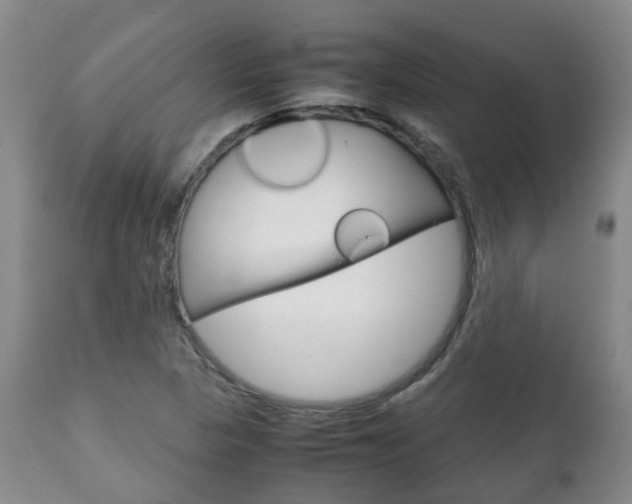 X0000111231313200907021014
