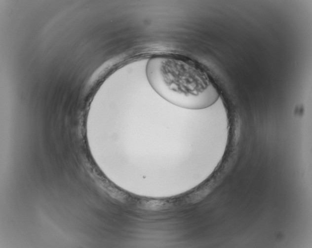 X0000111231314200907021014