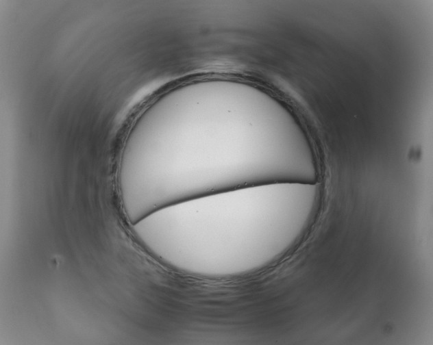 X0000111231315200907021014