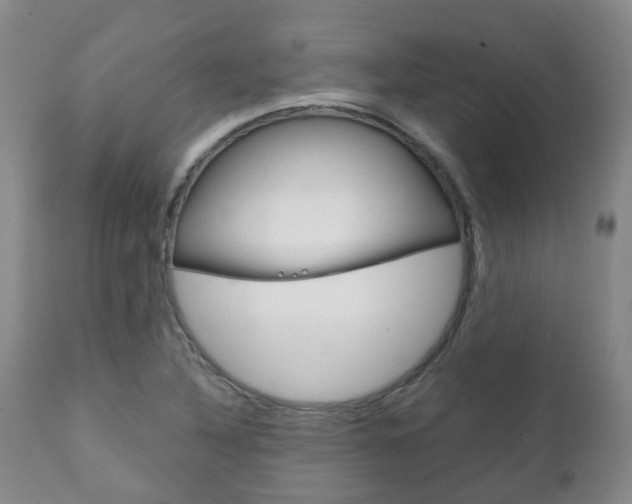 X0000111231316200907021014